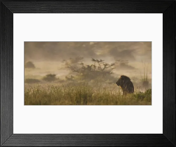 Framed Print : DDE-90020671 Framed Print : DDE-90020671