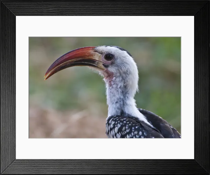 Framed Print : DDE-90020680 Framed Print : DDE-90020680