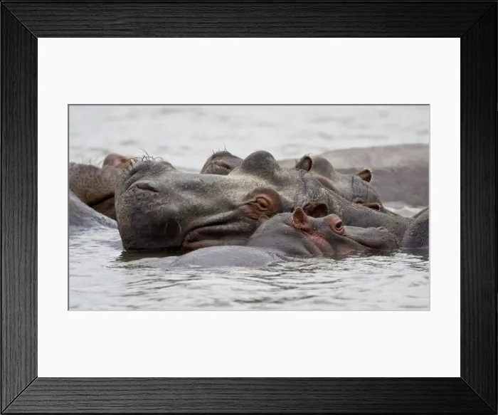 Framed Print : DDE-90020690