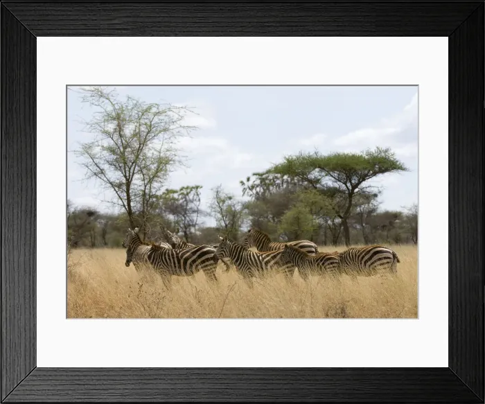 Framed Print : DDE-90020745 Framed Print : DDE-90020745