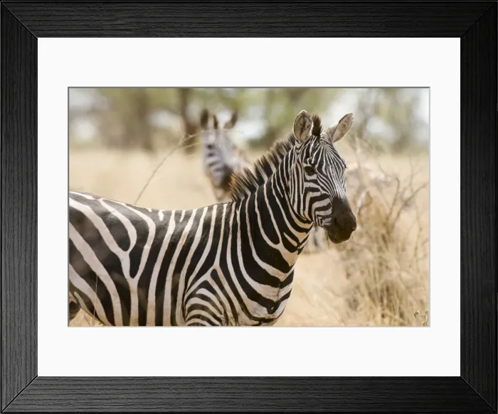 Framed Print : DDE-90020743 Framed Print : DDE-90020743