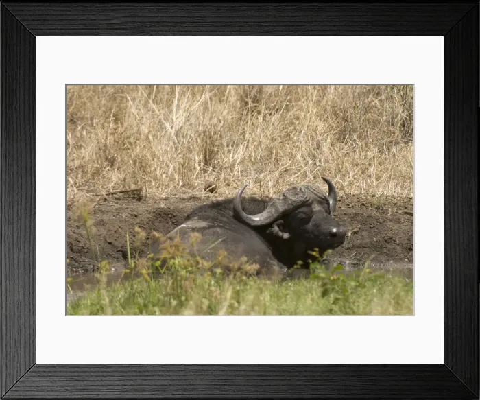 Framed Print : DDE-90020752 Framed Print : DDE-90020752