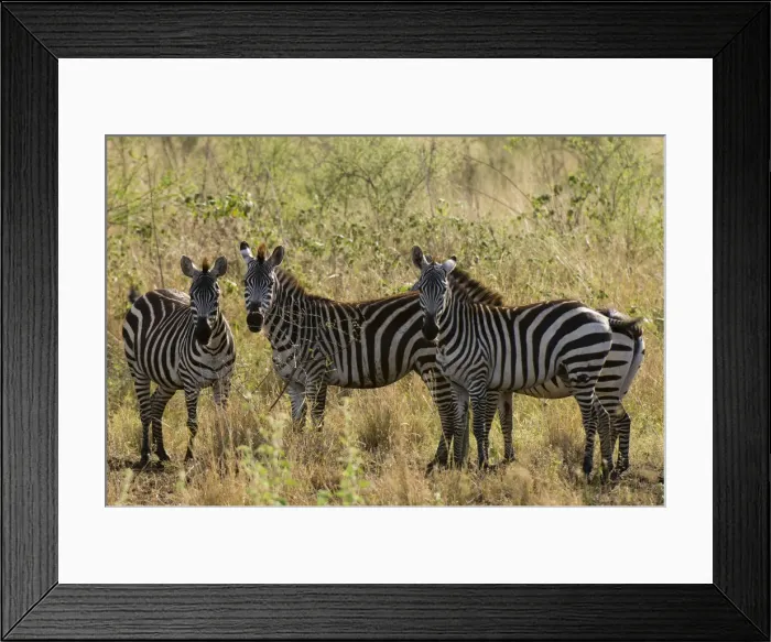 Framed Print : DDE-90020763 Framed Print : DDE-90020763