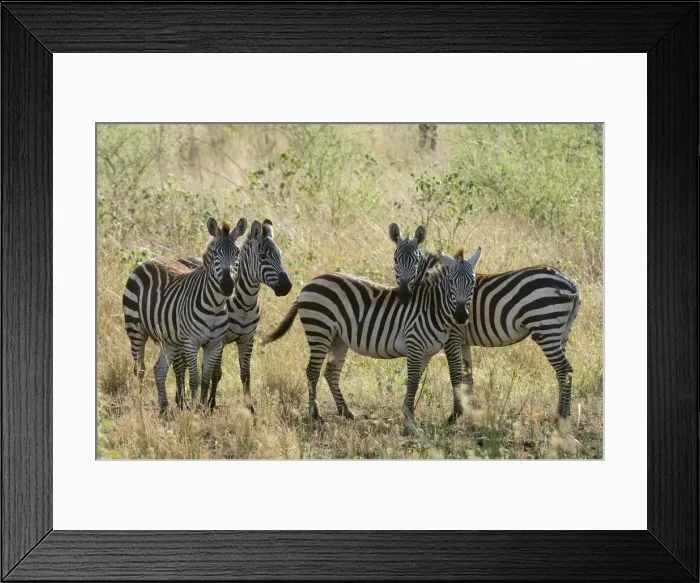 Framed Print : DDE-90020765 Framed Print : DDE-90020765