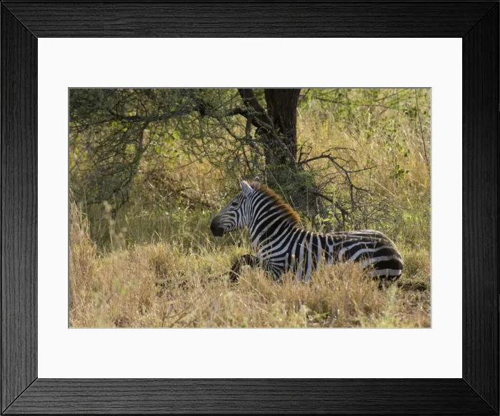 Framed Print : DDE-90020764 Framed Print : DDE-90020764