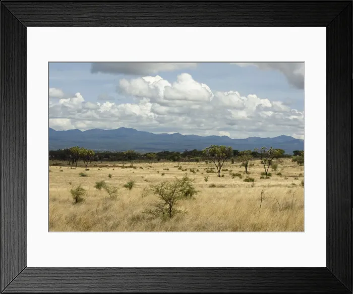 Framed Print : DDE-90020776 Framed Print : DDE-90020776