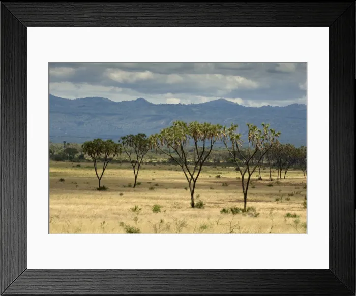 Framed Print : DDE-90020778 Framed Print : DDE-90020778