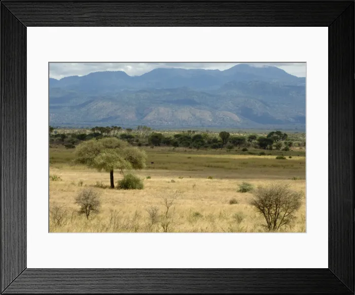Framed Print : DDE-90020777 Framed Print : DDE-90020777