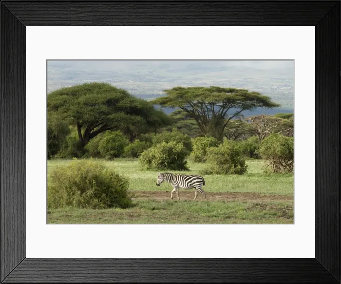 Framed Print : DDE-90020779
