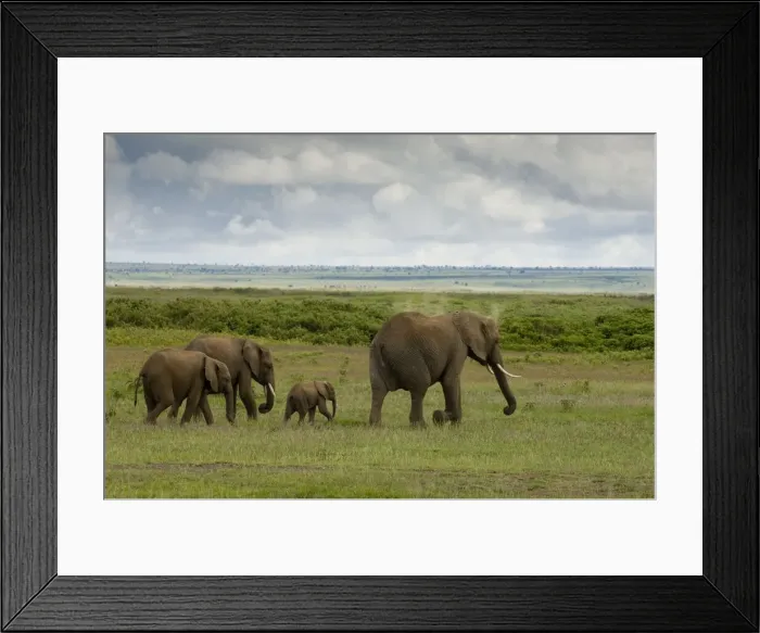 Framed Print : DDE-90020782 Framed Print : DDE-90020782