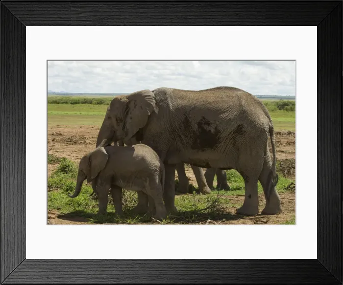 Framed Print : DDE-90020787 Framed Print : DDE-90020787