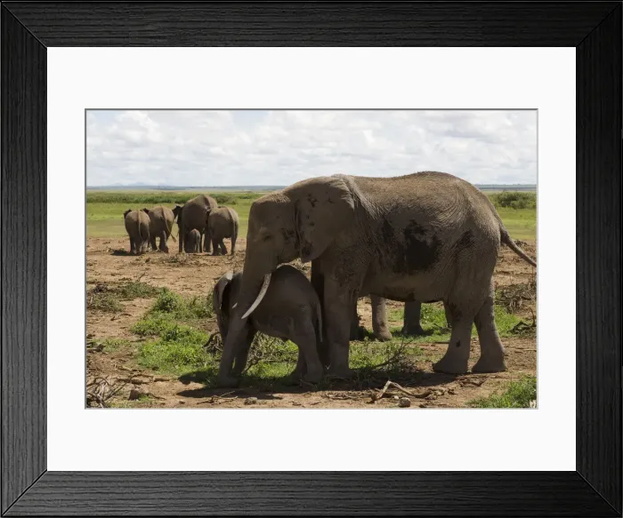 Framed Print : DDE-90020788 Framed Print : DDE-90020788