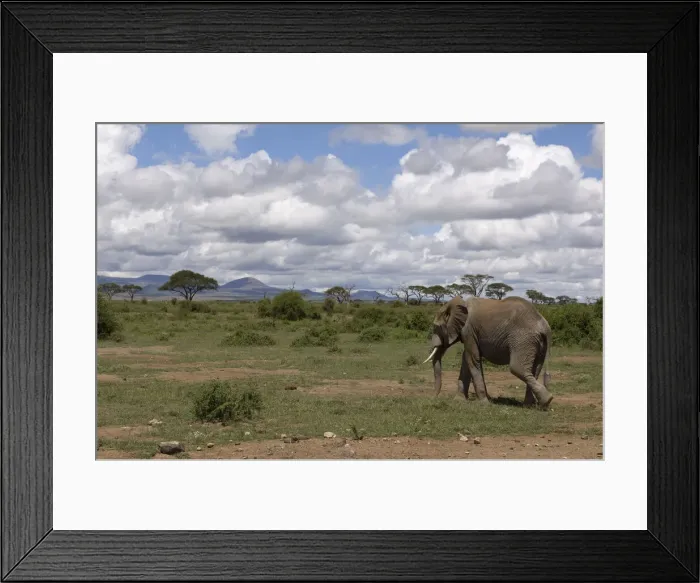 Framed Print : DDE-90020790 Framed Print : DDE-90020790