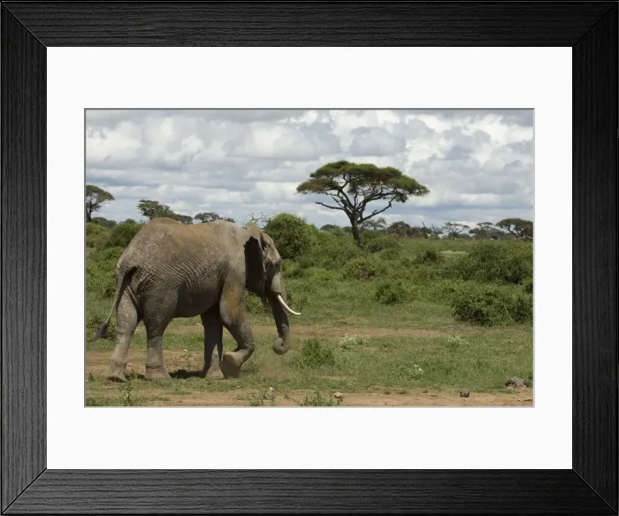 Framed Print : DDE-90020791 Framed Print : DDE-90020791