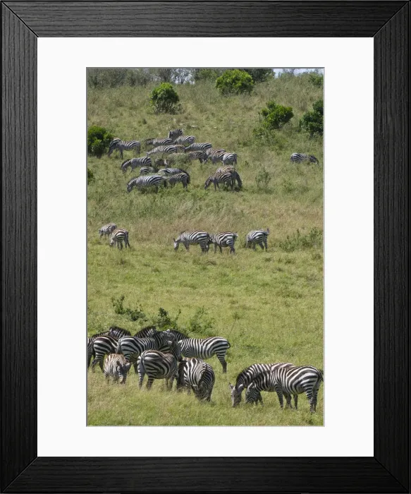 Framed Print : DDE-90020802