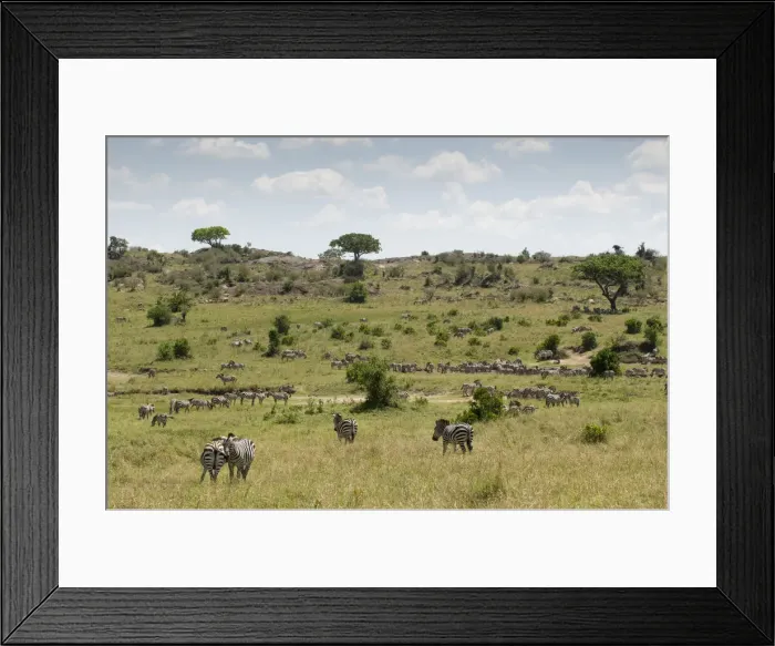 Framed Print : DDE-90020803 Framed Print : DDE-90020803