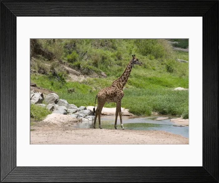 Framed Print : DDE-90020809 Framed Print : DDE-90020809