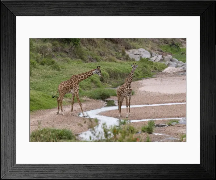 Framed Print : DDE-90020808 Framed Print : DDE-90020808