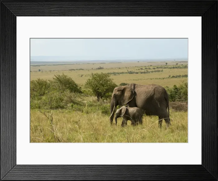 Framed Print : DDE-90020811 Framed Print : DDE-90020811