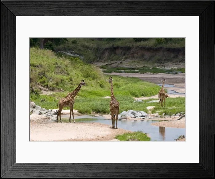 Framed Print : DDE-90020810 Framed Print : DDE-90020810