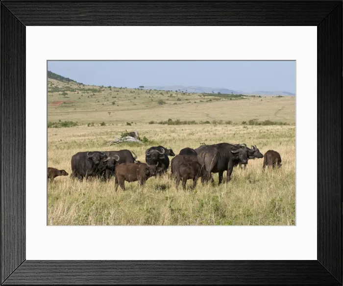 Framed Print : DDE-90020822 Framed Print : DDE-90020822