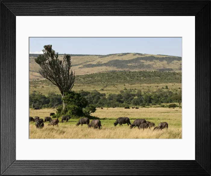 Framed Print : DDE-90020823 Framed Print : DDE-90020823