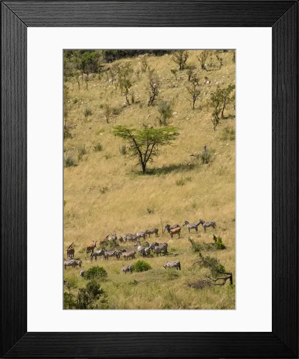 Framed Print : DDE-90020824 Framed Print : DDE-90020824