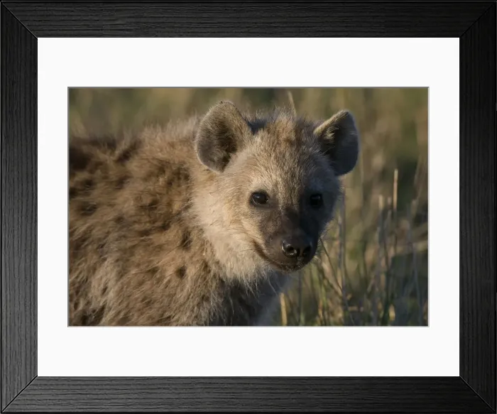 Framed Print : DDE-90020825 Framed Print : DDE-90020825