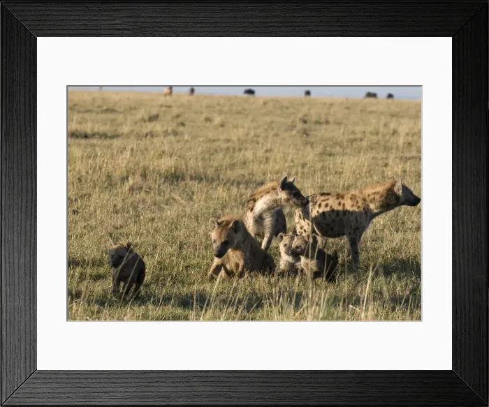 Framed Print : DDE-90020826 Framed Print : DDE-90020826