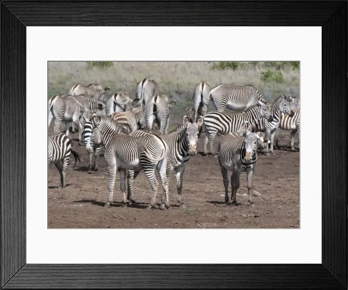 Framed Print : DDE-90020835 Framed Print : DDE-90020835