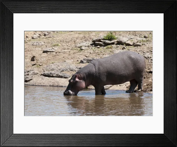 Framed Print : DDE-90020842