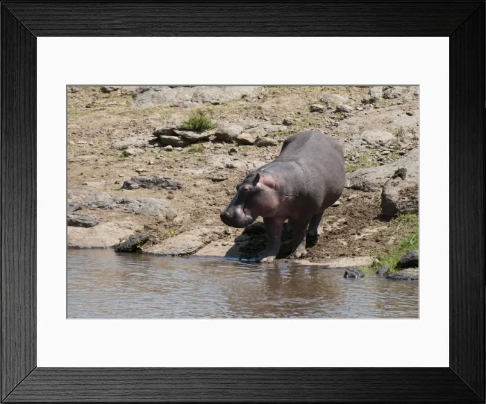 Framed Print : DDE-90020841 Framed Print : DDE-90020841