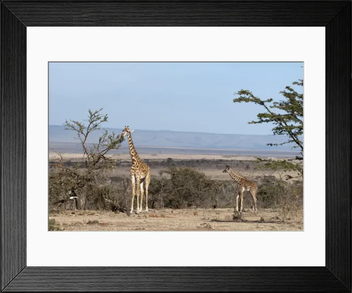 Framed Print : DDE-90020847 Framed Print : DDE-90020847