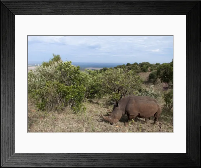 Framed Print : DDE-90020850 Framed Print : DDE-90020850