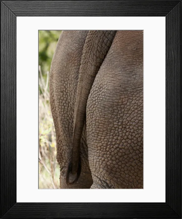 Framed Print : DDE-90020851 Framed Print : DDE-90020851