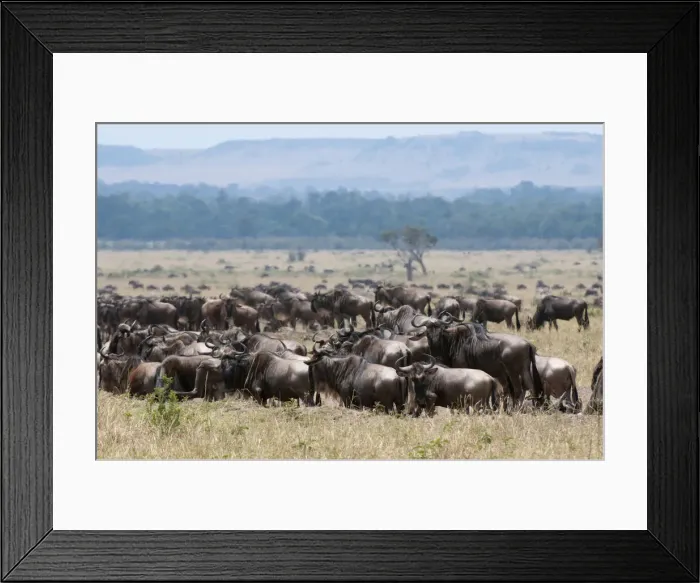 Framed Print : DDE-90020854 Framed Print : DDE-90020854
