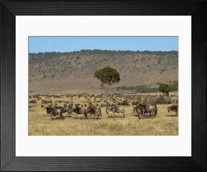 Framed Print : DDE-90020855
