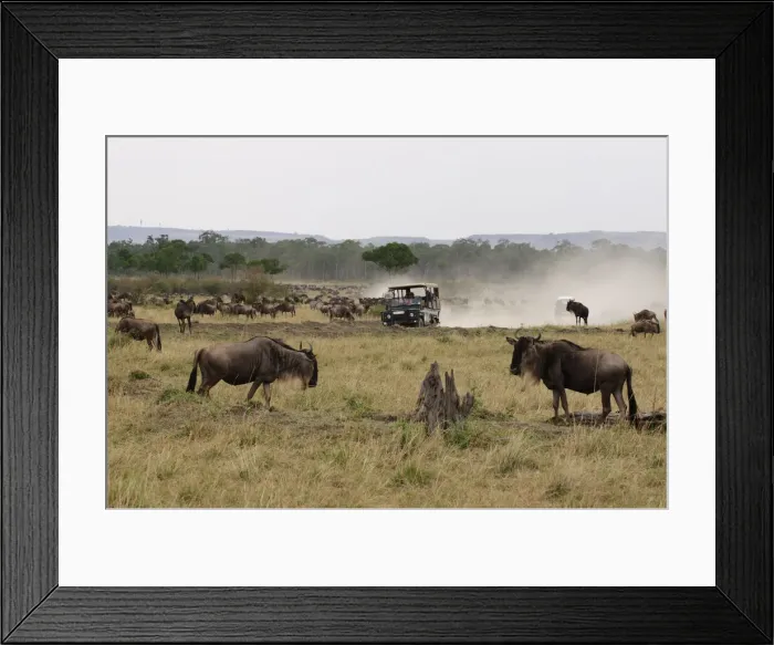 Framed Print : DDE-90020853