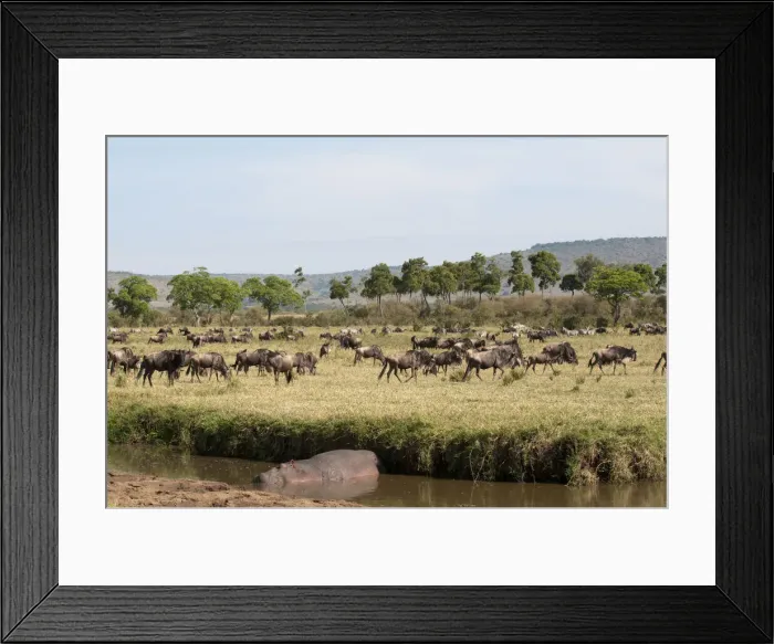 Framed Print : DDE-90020856