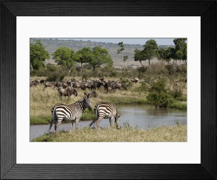 Framed Print : DDE-90020860