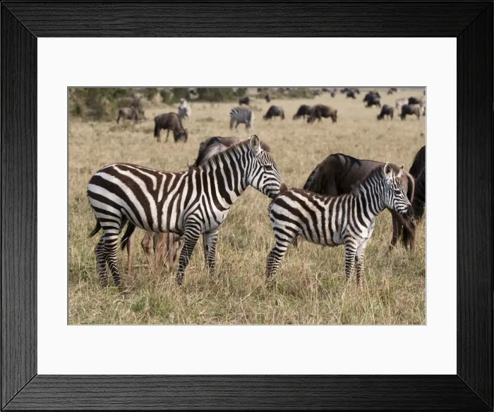 Framed Print : DDE-90020861