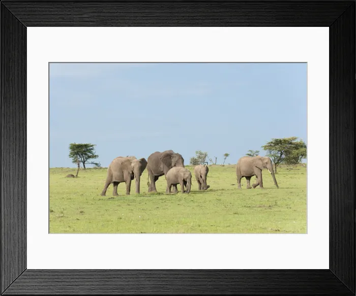Framed Print : DDE-90020862