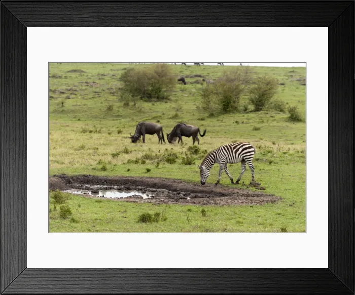 Framed Print : DDE-90020869 Framed Print : DDE-90020869