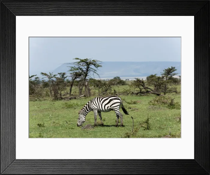 Framed Print : DDE-90020870 Framed Print : DDE-90020870