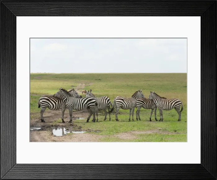 Framed Print : DDE-90020872 Framed Print : DDE-90020872