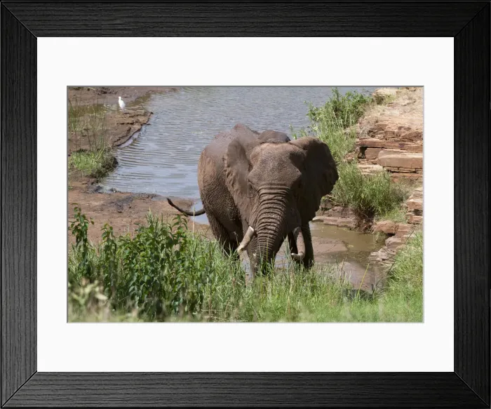 Framed Print : DDE-90020873 Framed Print : DDE-90020873