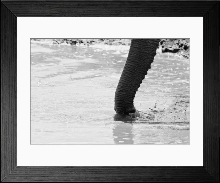 Framed Print : DDE-90020875 Framed Print : DDE-90020875