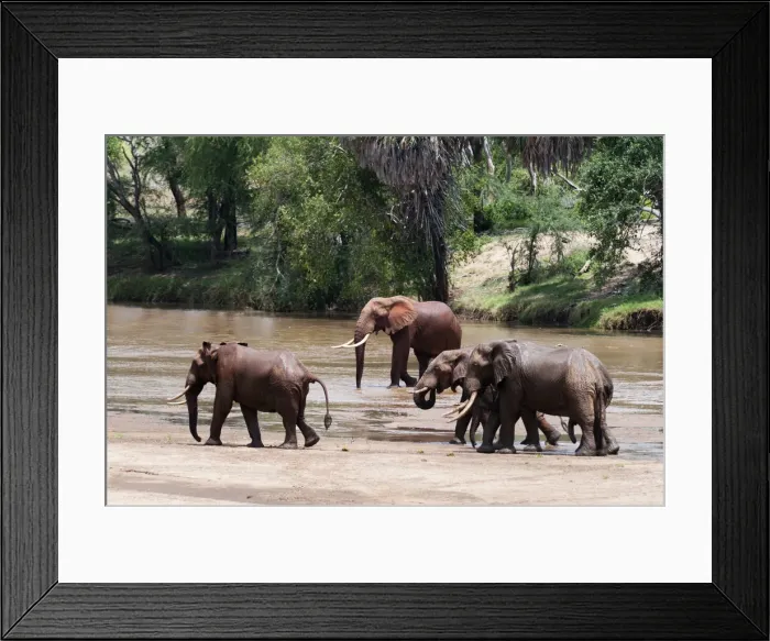 Framed Print : DDE-90020876 Framed Print : DDE-90020876
