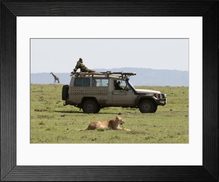 Framed Print : DDE-90020890 Framed Print : DDE-90020890