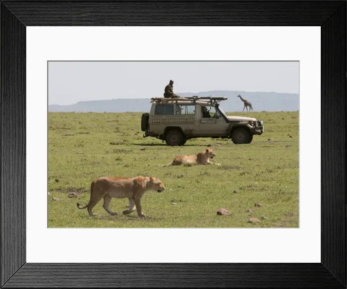 Framed Print : DDE-90020891 Framed Print : DDE-90020891